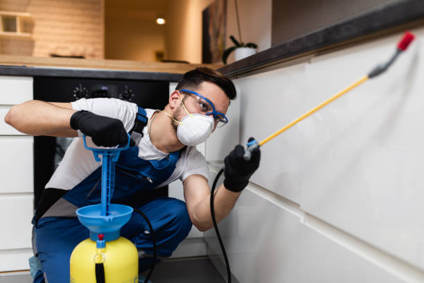 Best Mosquito Control Services  in Bloomfield, NM