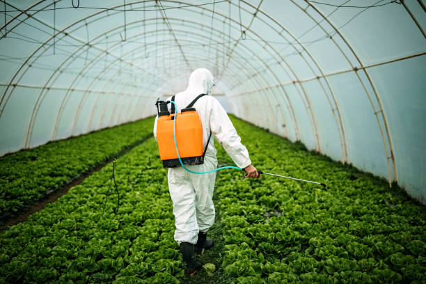 Best Affordable Pest Control Services  in Bloomfield, NM
