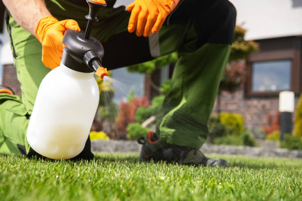 Best Pest Prevention Services  in Bloomfield, NM