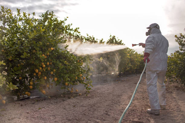Bird Control in Bloomfield, NM