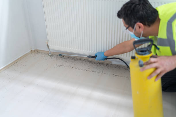 Best Emergency Pest Control  in Bloomfield, NM